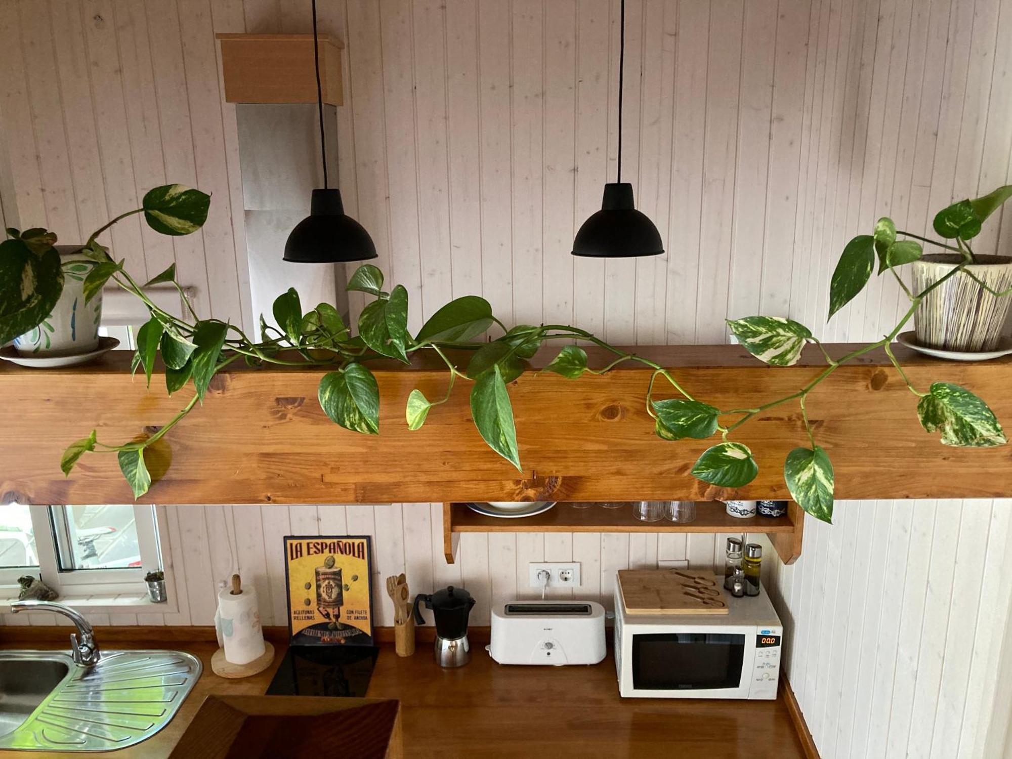 Acogedora Casa En Rinlo, En La De Appartement